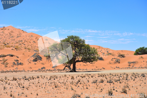 Image of landscape in Namibia