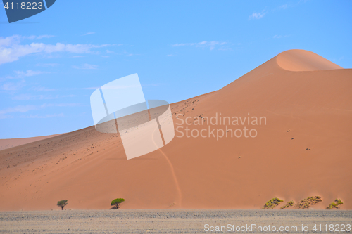 Image of sand dune