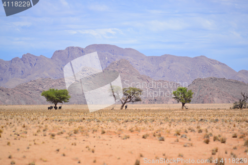Image of namibian landscape