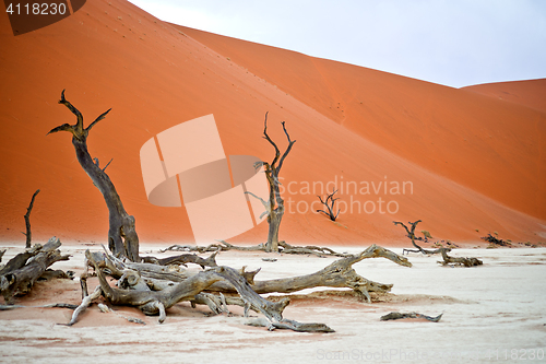 Image of Sossusvlei, Namibia