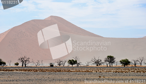 Image of sand dune