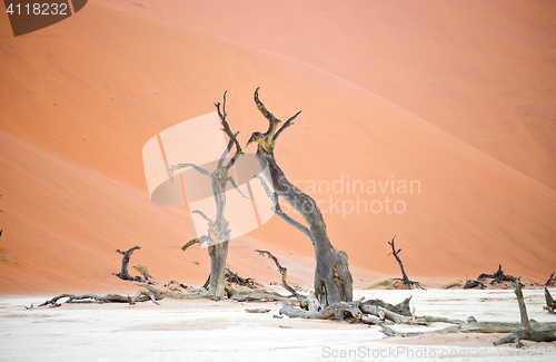 Image of Sossusvlei, Namibia