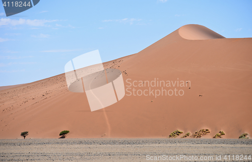 Image of sand dune