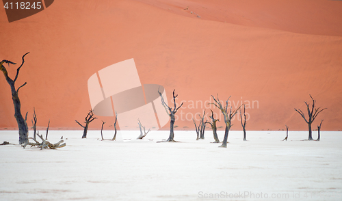 Image of Sossusvlei, Namibia