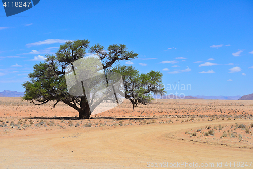 Image of namibian landscape