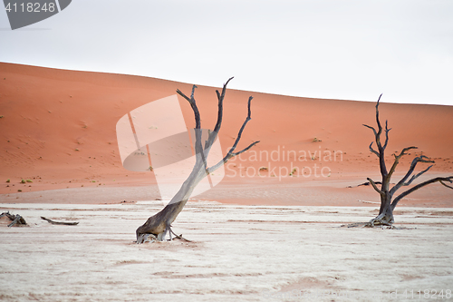 Image of Sossusvlei, Namibia