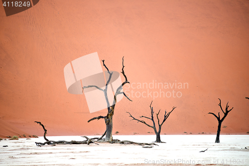 Image of Sossusvlei, Namibia