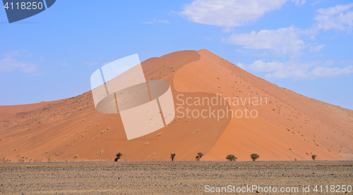 Image of sand dune