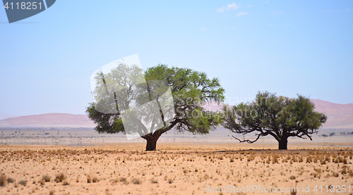 Image of namibian landscape