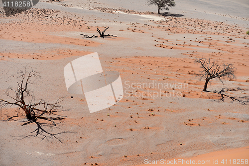 Image of desert landscape