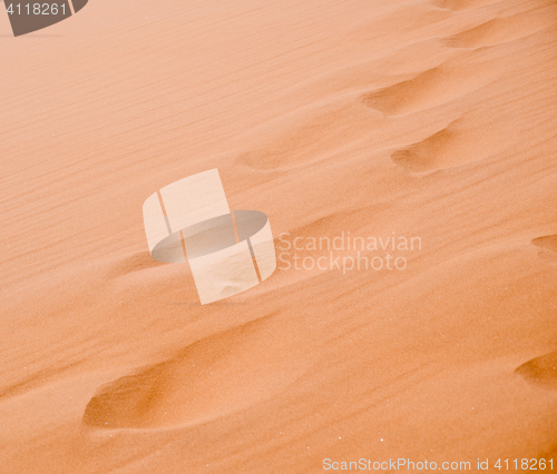 Image of sand dune