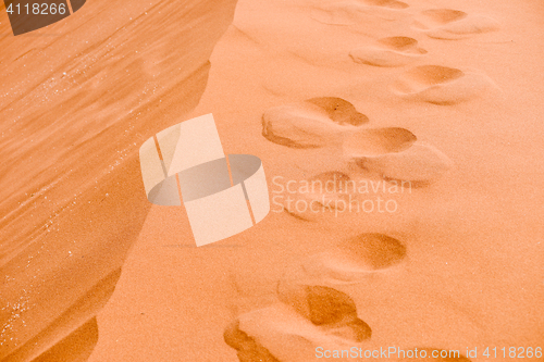 Image of sand dune