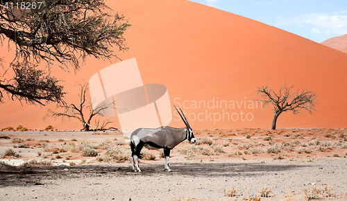 Image of desert landscape