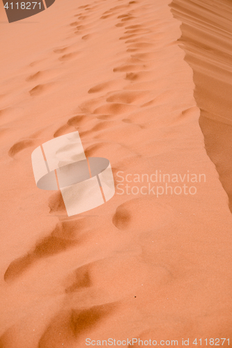 Image of sand dune