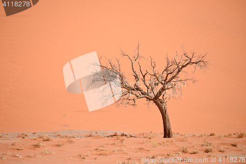 Image of desert landscape