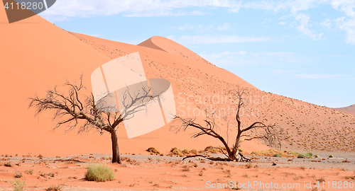 Image of desert landscape