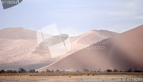 Image of desert landscape