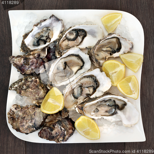 Image of Fresh Oysters on Ice