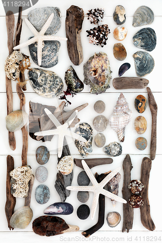 Image of Seaside Treasure Collage