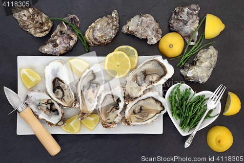 Image of Oysters and Samphire