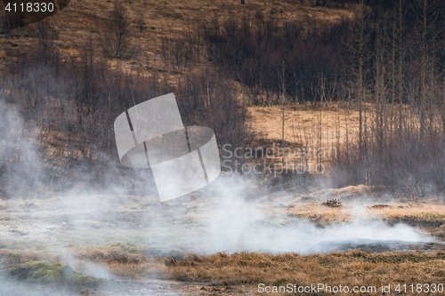 Image of Geothermal meadow in Iceland