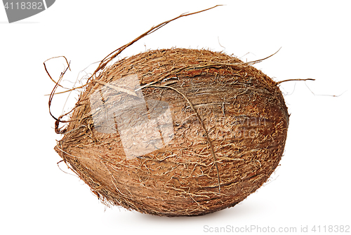 Image of Entirely rotated coconut