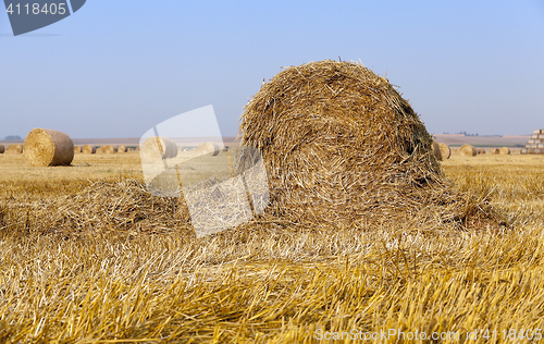 Image of stack of straw in the field