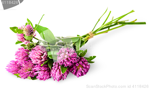 Image of Bouquet of clover tied with rope