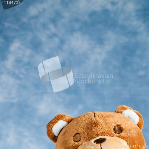 Image of Lovely Teddy Bear
