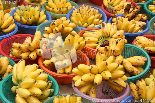 Image of Bananas for sale