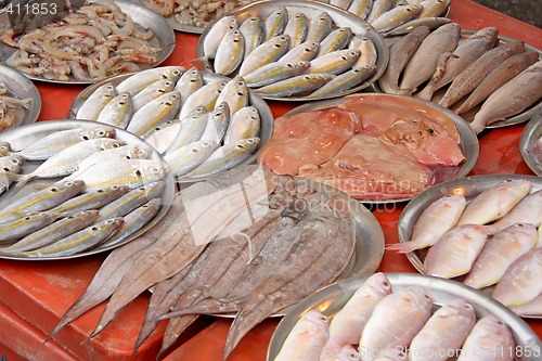 Image of Fish for sale