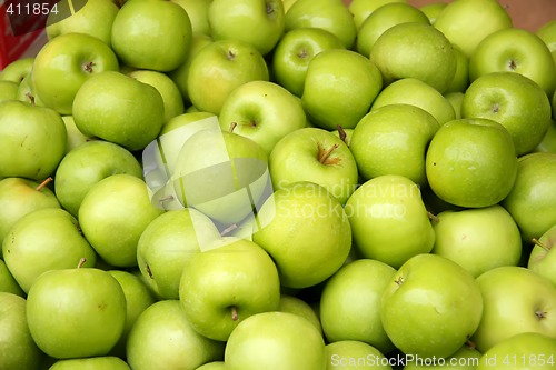 Image of Pile of green apples