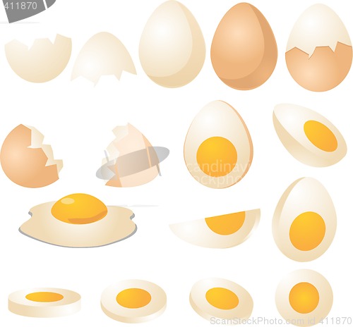 Image of Eggs illustration