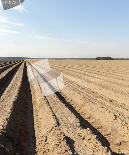 Image of furrows in the field