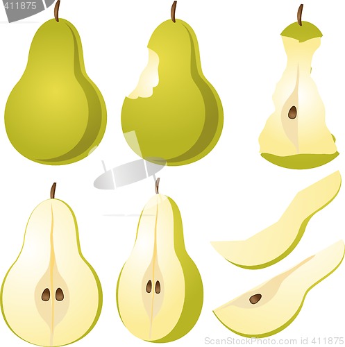 Image of Pear Illustration