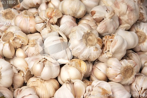 Image of Whole garlic