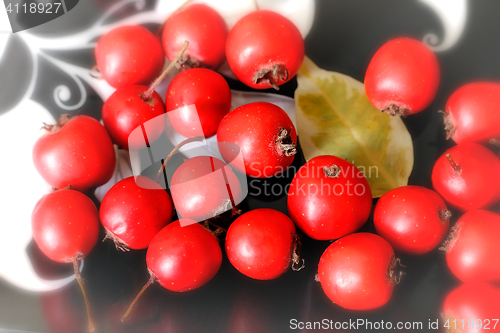 Image of Hawthorn berries on a plate .