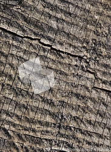 Image of Abstract cracked wood  