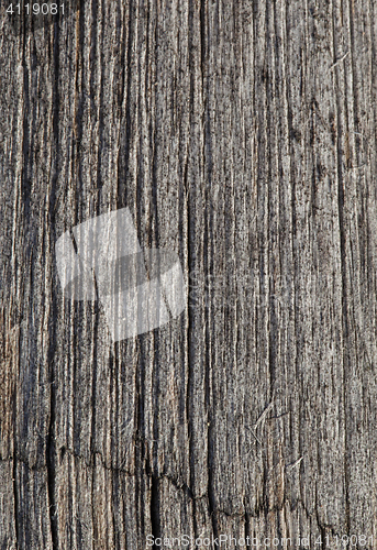 Image of Abstract cracked wood  