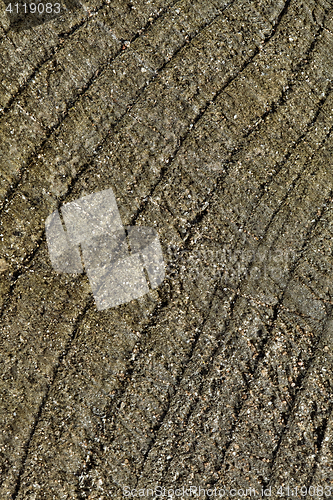 Image of Abstract cracked wood  