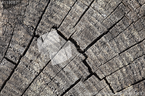 Image of Abstract cracked wood  