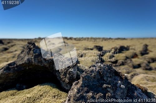 Image of Iceland lava field covered with green moss