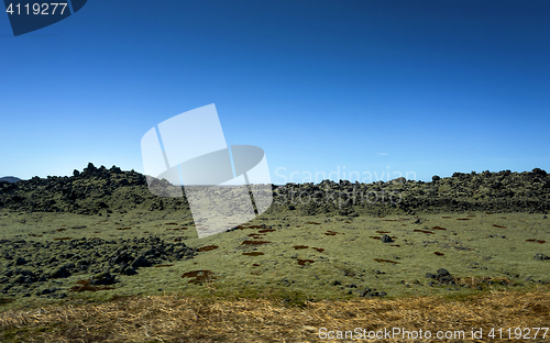 Image of Iceland lava field covered with green moss