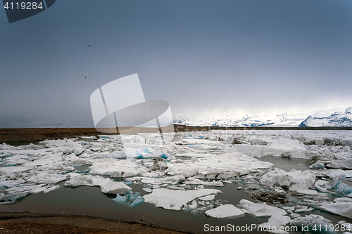 Image of Icebergs at glacier lagoon 