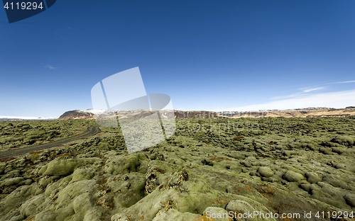 Image of Iceland lava field covered with green moss