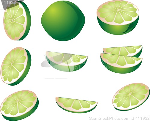 Image of Lime illustration