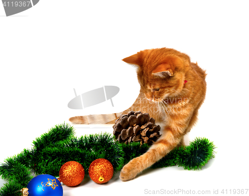 Image of Red-headed kitten play with Christmas tinsel, Christmas-tree bal