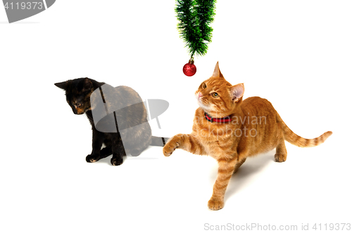 Image of Brown and red-headed kittens play with Christmas ornaments