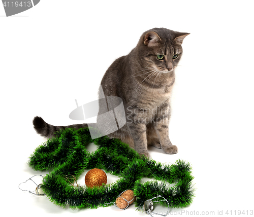 Image of Gray cat sitting with Christmas tinsel, Christmas-tree ball and 