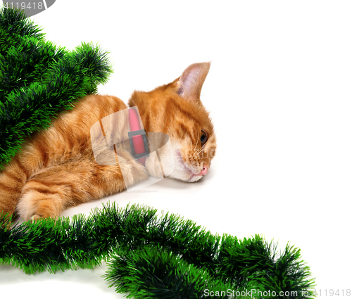 Image of Tired red-headed kitten lying on its side in Christmas tinsel an